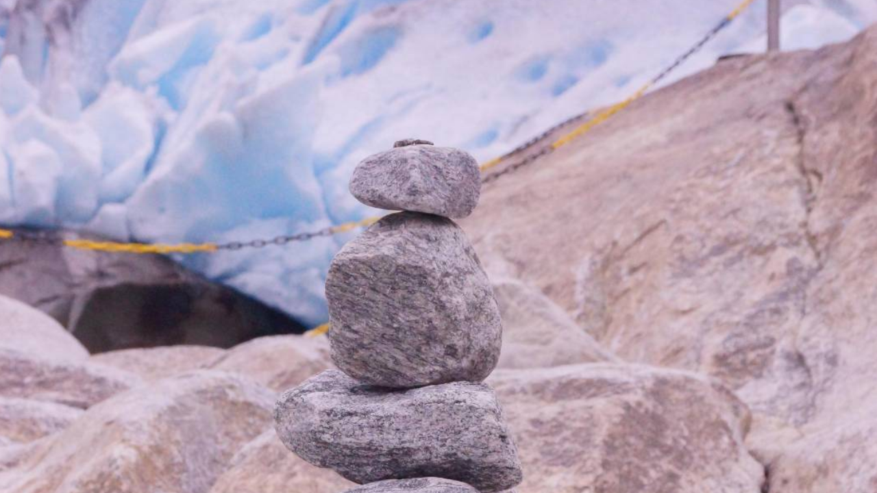 Jaka jest rola tłuszczu w diecie wątrobowej?